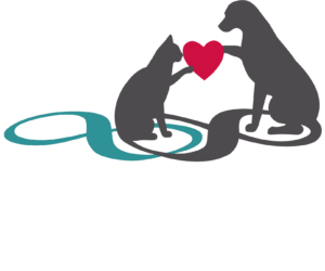a cat and dog holding a heart<br />
